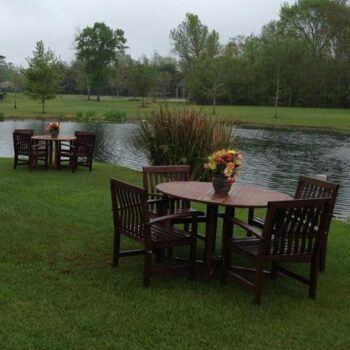 teak dining arm chair dark wood panels set rental