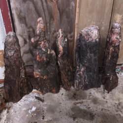 12 inch cypress knee decor wood natural rent rental
