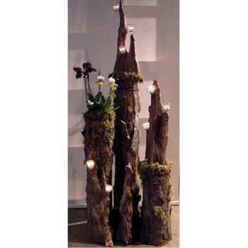 18 inch inches cypress knee wood decor natural rent rental