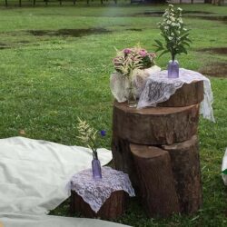 tree trunk stumps wood naturals decor rental