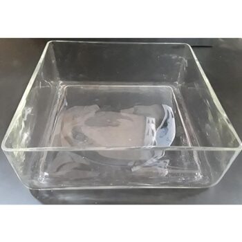 sven square bowl clear glass vessel flowers rental