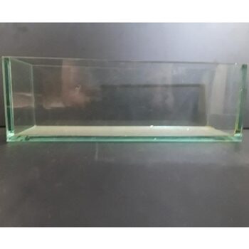 plate glass planter clear thick rectangular vessel rental