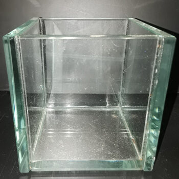 plate glass planter thick clear vessel cube rental