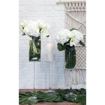 amaryllis vase clear glass vessel flower rental