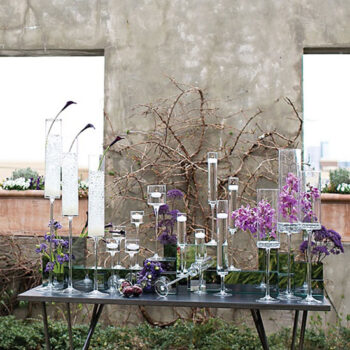 amaryllis vase clear glass vessel flower rental