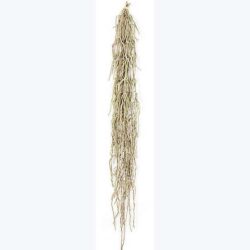 orchid root latex artificial decor rental