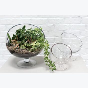 bias bowl glass vessel flowers rental