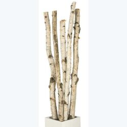 birch pole white vase naturals decor rental