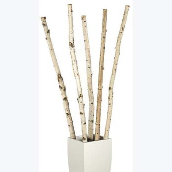 birch pole white vase naturals decor rental