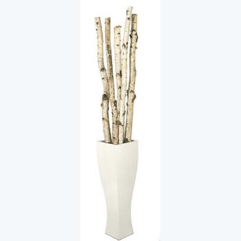 birch pole white vase naturals decor rental