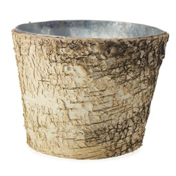 birch vase pot vessel natural rental