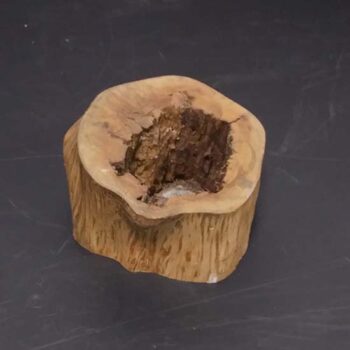 tree stump planter wood naturals decor rental