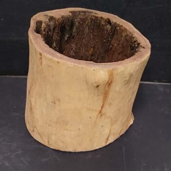 tree stump planter naturals decor rental