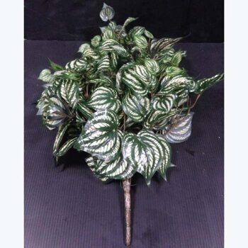 peperomia bush artificial decor rental