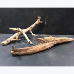 driftwood white brown naturals decor rental