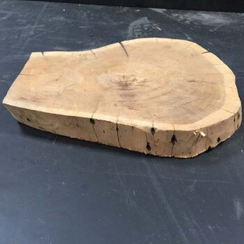 Tree trunk slab resting on the ground