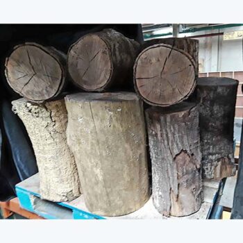 tree trunk stumps wood naturals decor rental