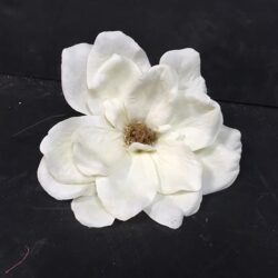 magnolia bloom artificial decor rental