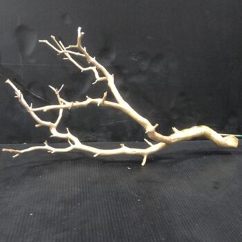 manzanita branches naturals decor rental