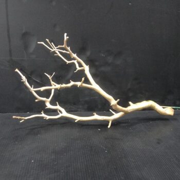 manzanita branches naturals decor rental