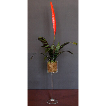 monet vase glass clear vessel flower rental