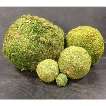 moss naturals hanging green sphere decor rental