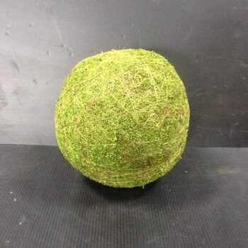 moss naturals hanging green sphere decor rental