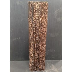pedestal wood mussel faux riser decor rental
