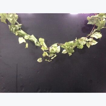 potato vine artificial decor rental