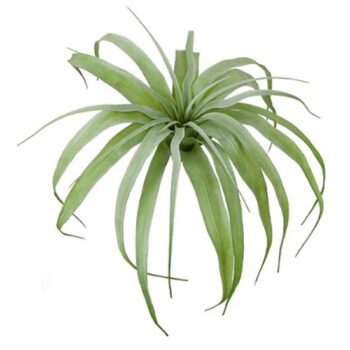 tilandsia green flower artificial decor rental