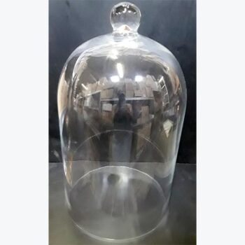 cloche glass dome home decor rental