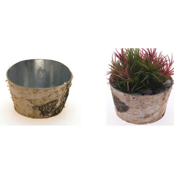 birch vase pot vessel natural rental