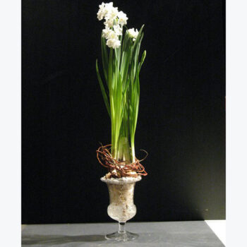 ayre urn clear glass vessel flowers rental