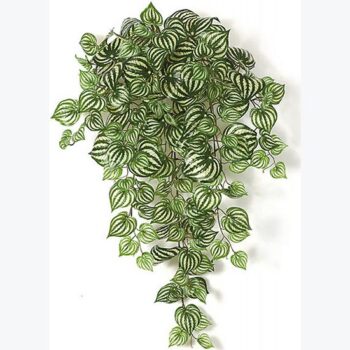 peperomia bush artificial decor rental