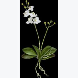 phalaenopsis orchid artificial flower decor rental
