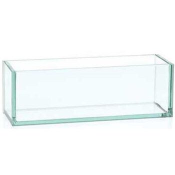 plate glass planter clear thick rectangular vessel rental