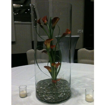 rota vase clear glass vessel flowers rental