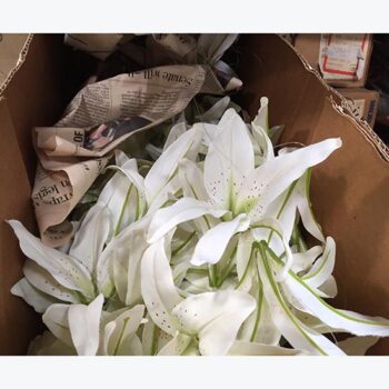 lily garland white fabric artificial decor rental