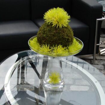 sydney vase glass bowl clear vessel flowers rental