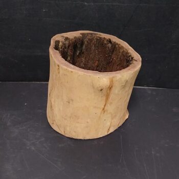 tree stump planter natural wood reclaimed flowers rental