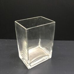 plate glass planter thick clear vessel cube rental