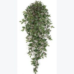 wandering jew plant artificial decor rental