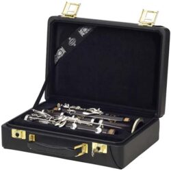wooden clarinet in a professional music case