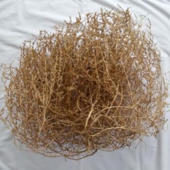 Tumbleweed resting on white fabric