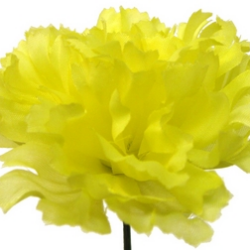 Silk Carnation Yellow